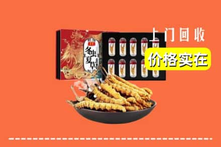 张掖肃南县回收虫草